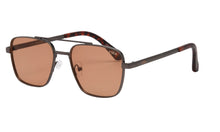Load image into Gallery viewer, I-Sea Brooks Polarized