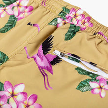 Load image into Gallery viewer, Duvin Flying Flamingo men's swim shorts