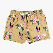 Load image into Gallery viewer, Duvin Flying Flamingo men's swim shorts