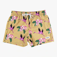 Load image into Gallery viewer, Duvin Flying Flamingo men&#39;s swim shorts

